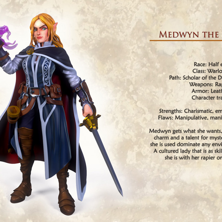 Medwyn The Warlock - Idle and Action Pose image