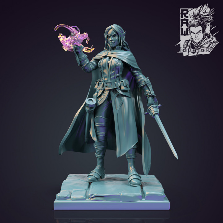Medwyn The Warlock - Idle and Action Pose image