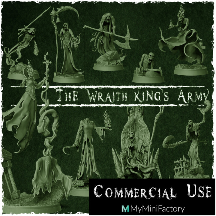 The Wraith King's Army - Info Commercial License's Cover