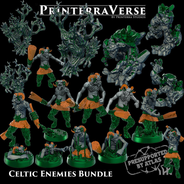 002 Celtic Enemies image