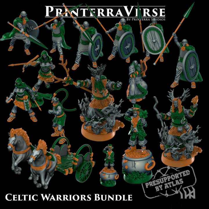 002 Celtic Warriors image
