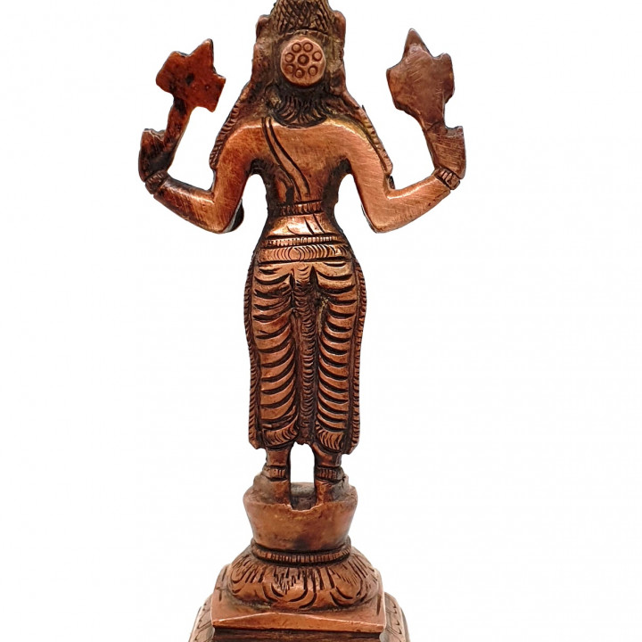 Third Avatar of Vishnu - Varaha (The Boar) image
