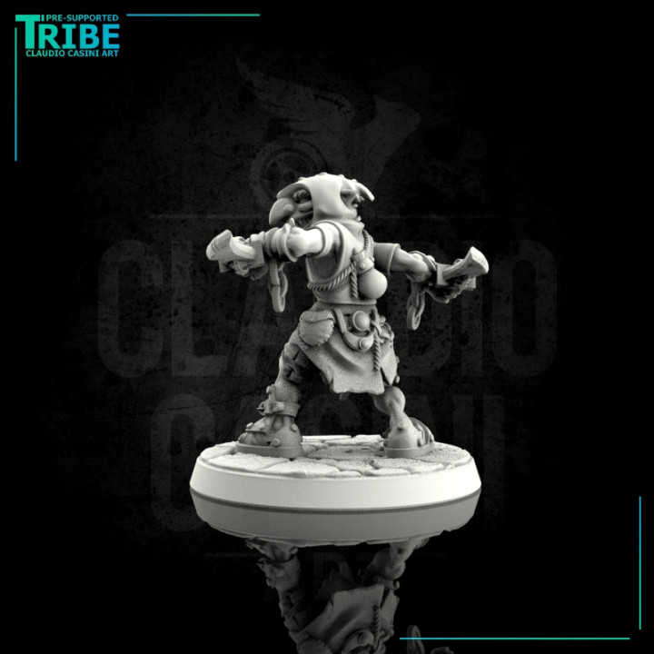 (0041) Male thief rogue or assassin Goblin image