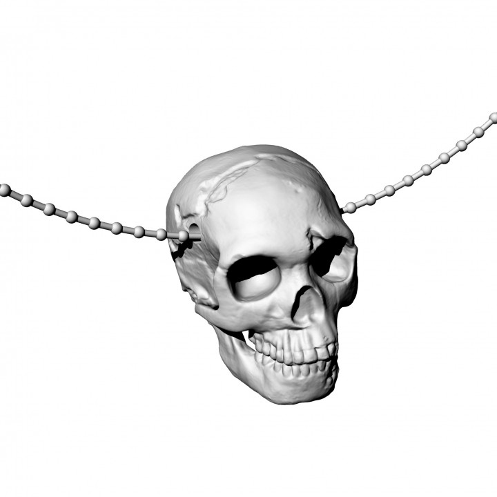 skull neanderthal pendant image
