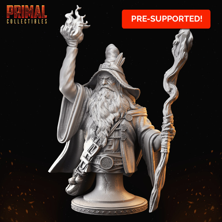 Wizard - Sólon (the wiser) bust - MASTERS OF DUNGEONS QUEST image
