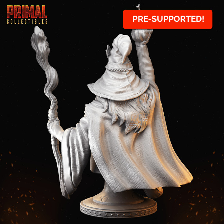 Wizard - Sólon (the wiser) bust - MASTERS OF DUNGEONS QUEST image