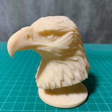 Picture of print of Eagle Golden