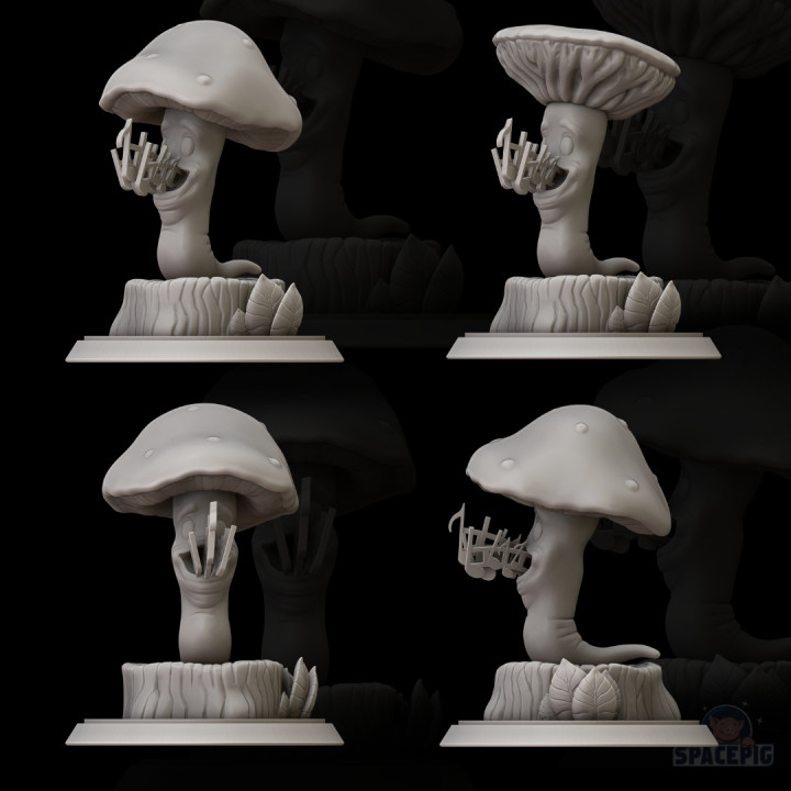 Singing Mushroom image