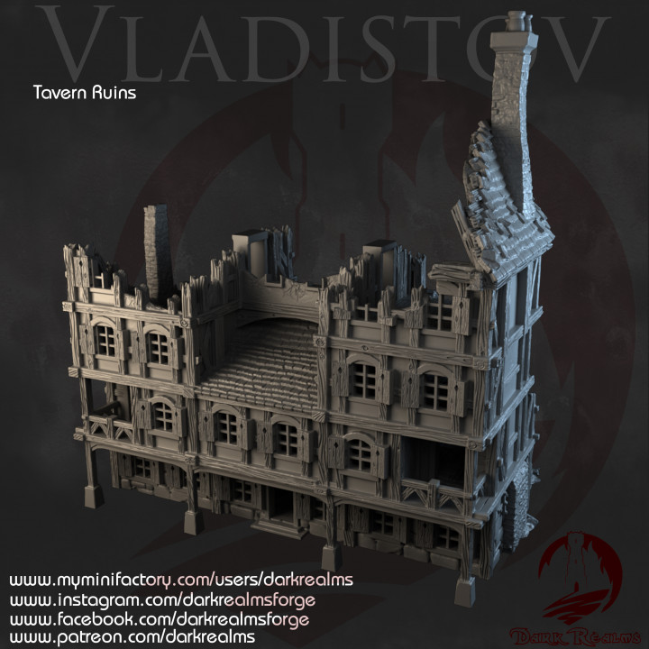 Dark Realms Vladistov - Tavern Ruins image