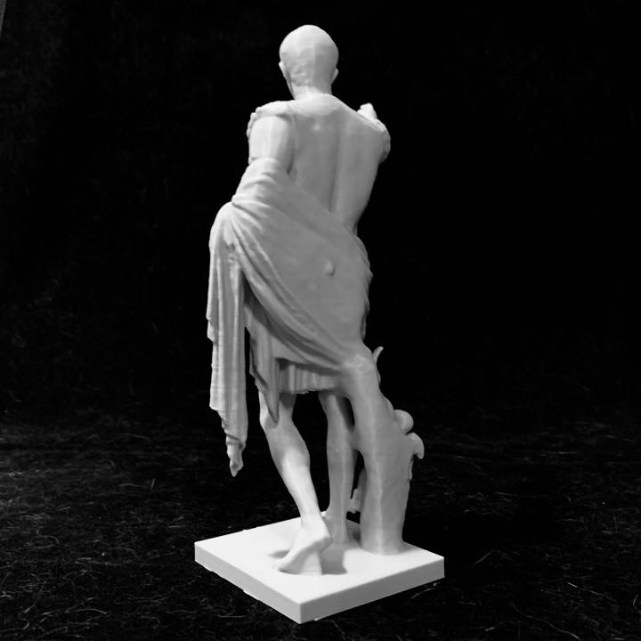 Augustus Prima Porta image
