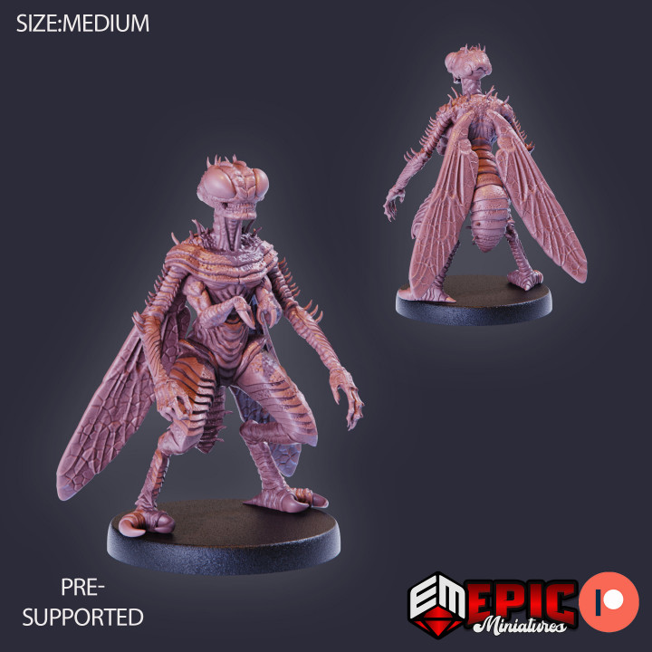 Fly Demon / Insectoid Devil / Minion of Beelzebub / Flying Hell Army / Insect Spawn image