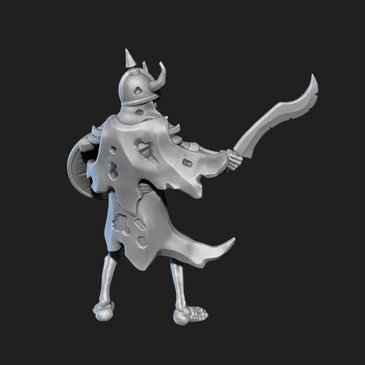 Skeleton warrior with sword and shield presupported image