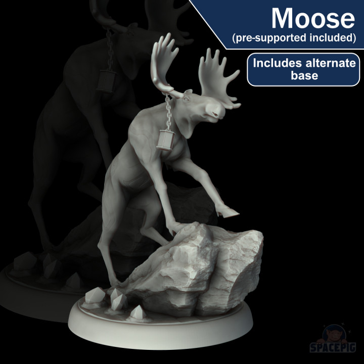 Moose image