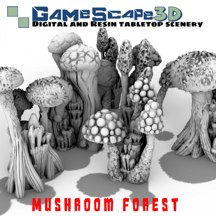Mushroom Forest image