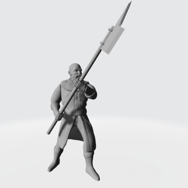 Medieval infantry with pole weapon N4 image