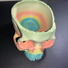 Picture of print of Skull Bowl No Supports
