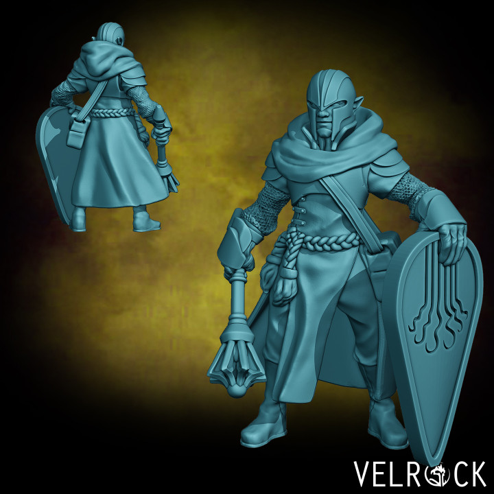 Male Half Elf Cleric of Eldath with Mace and Shield image