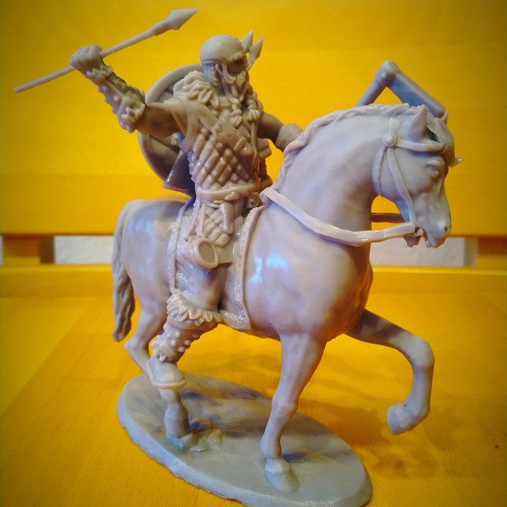 Viking Jarl warrior rider image