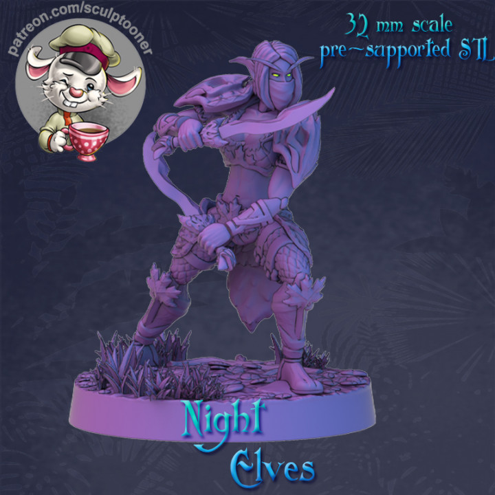 Night elf calm armored female image