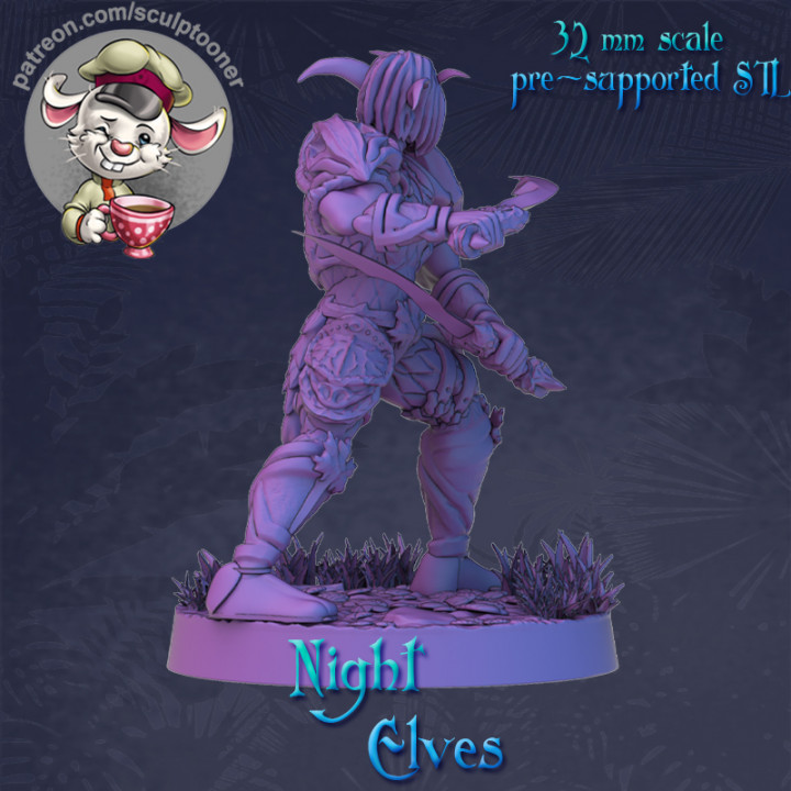 Night elf rogue calm armored man image