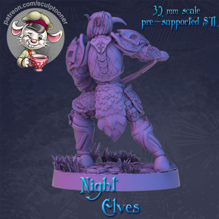 Night elf rogue calm armored man image