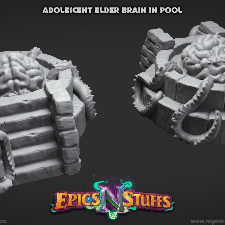 Adolescent Elder Brain in Pool Miniature - Pre-Supported image