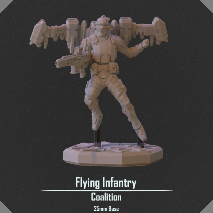 Flying Infantry image