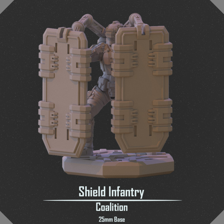 Shield Infantry image