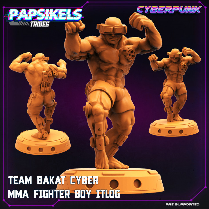 TEAM BAKAT CYBER MMA FIGHTER BOY ITLOG image