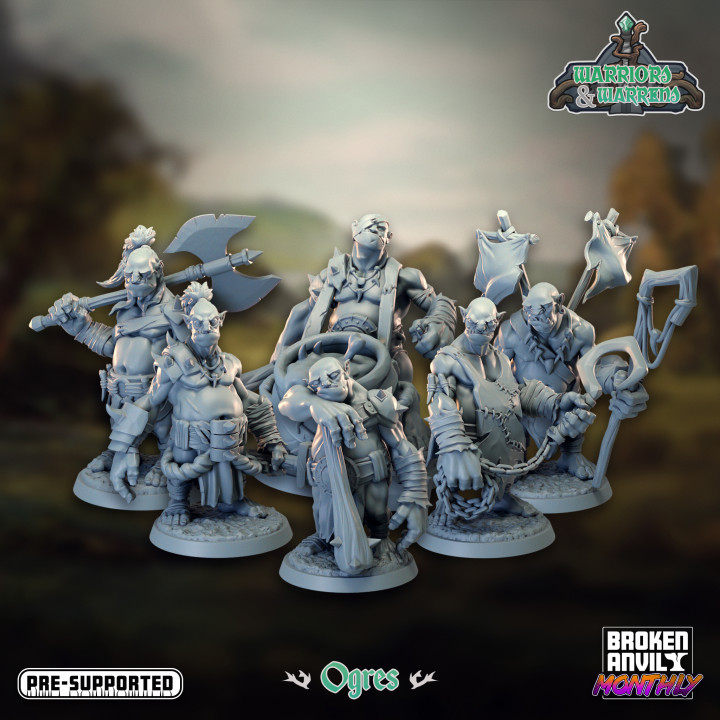 Warriors and Warrens- Ogres Complete Set image
