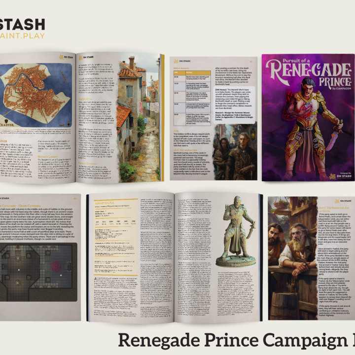 Dungeon Master Stash 5E Campaign - Welcome Stash: Pursuit of a Renegade Prince image