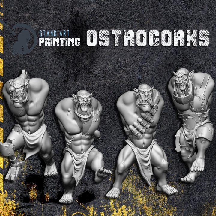 Ostrog'Orks image