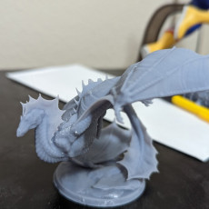 Picture of print of Wyvern - Presupported