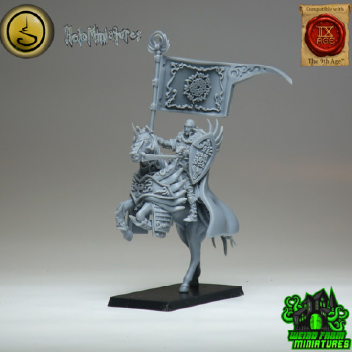High elves mounted lord image