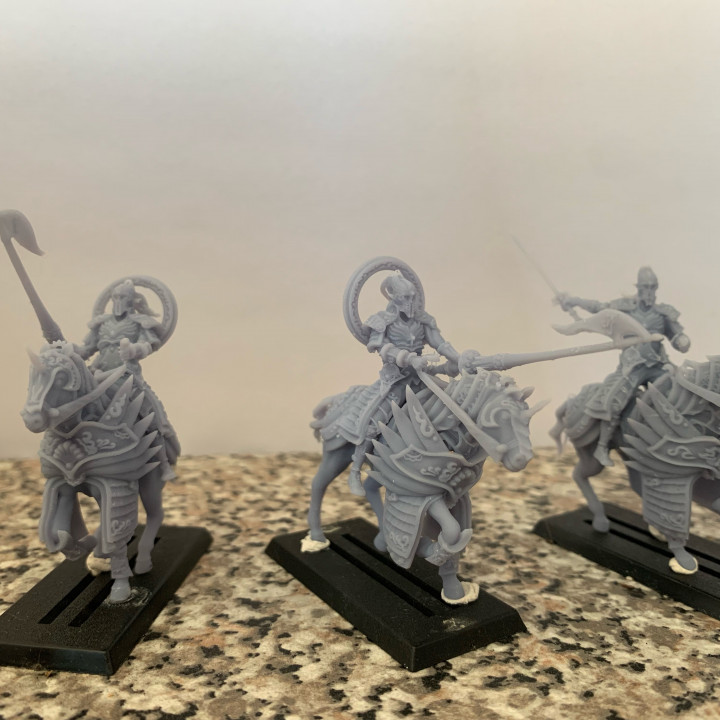 High elves lancers  (rings optional) image