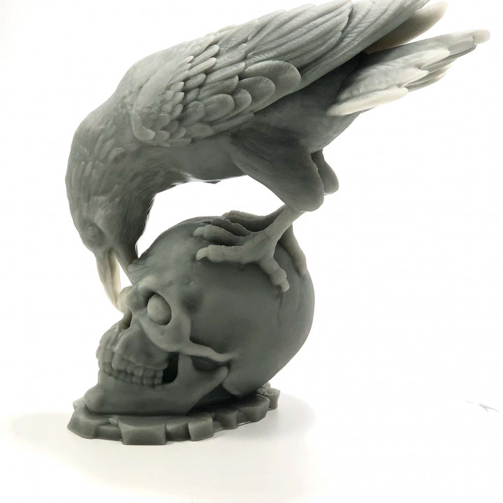 The Jewel Thief (Raven and Skull) image