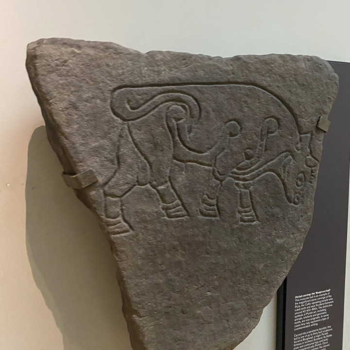 Pictish carving: "Burghead bull" image