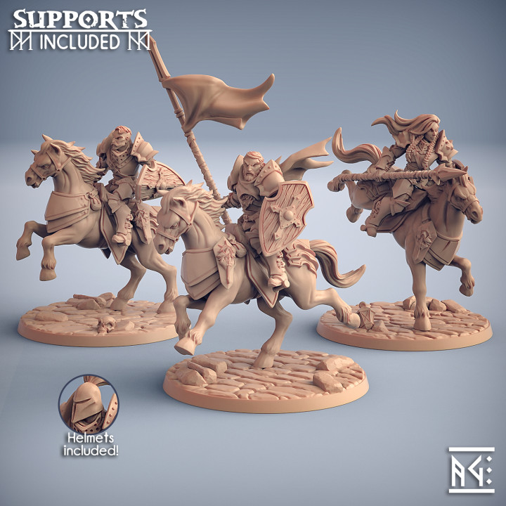 Fighters Guild Riders - 3 Modular Units image