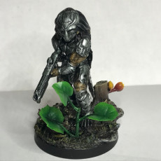 Picture of print of Jungle Bases (Set of 7)