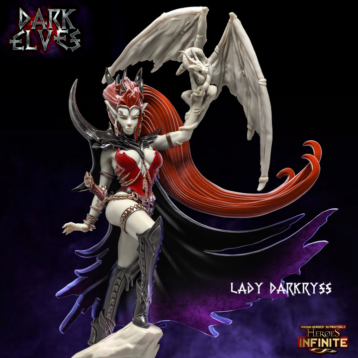 Lady Darkryss image