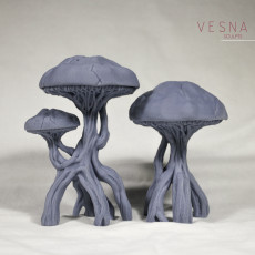 Picture of print of FUNGI FOREST №2