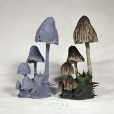 Picture of print of FUNGI FOREST №1