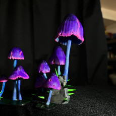 Picture of print of FUNGI FOREST №1