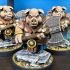 Hogs of War Release print image