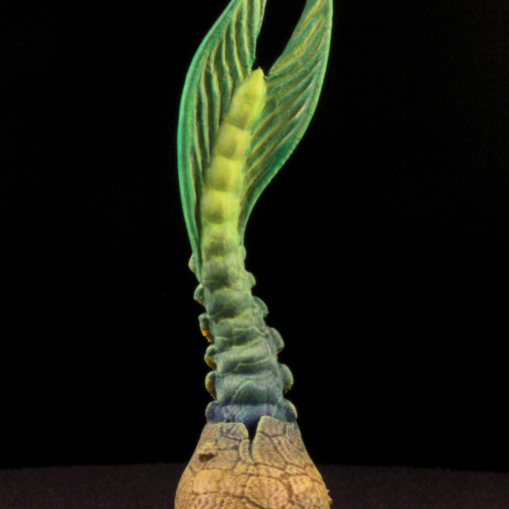 Tabletop plant: "Finlet Sprout" (Alien Vegetation 37) image