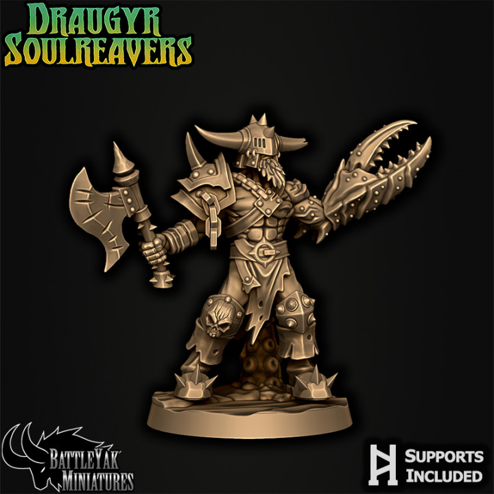 Draugyr Soulreavers Character Pack image