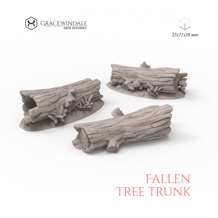 Fallen Tree Trunk image