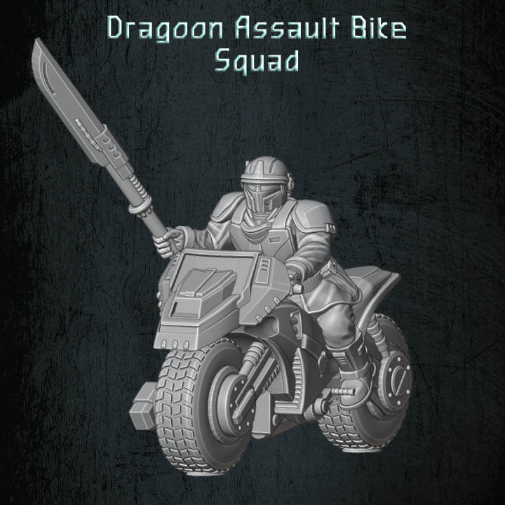 Dragoon Assault / Scout Bikers image