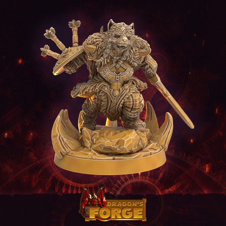 Ironpelt Dwarf Barbarian - Sword & Shield image