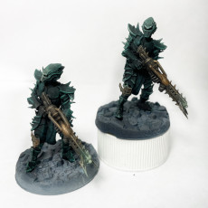 Picture of print of Armored Warriors - Cursed Elves